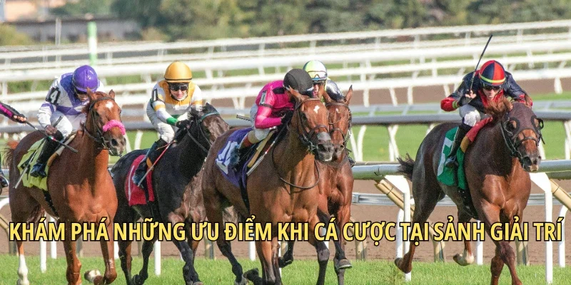 Khám phá những ưu điểm khi cá cược tại sảnh giải trí