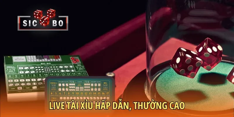 Live Tài Xỉu