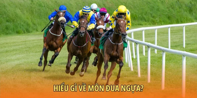 Sơ lược thông tin về môn đua ngựa