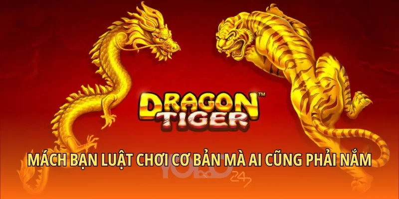 Mách bạn luật chơi cơ bản mà ai cũng phải nắm