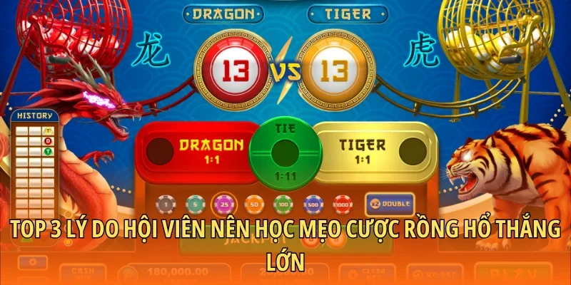 Top 3 lý do hội viên nên học mẹo cược Rồng Hổ thắng lớn